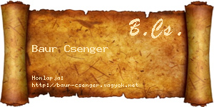 Baur Csenger névjegykártya